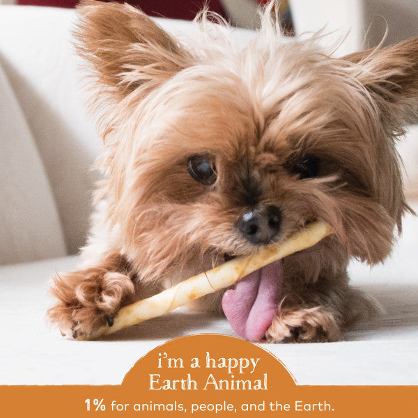 Earth Animal No-Hide Cage-Free Chicken Natural Rawhide Alternative Dog Chews, 4-in