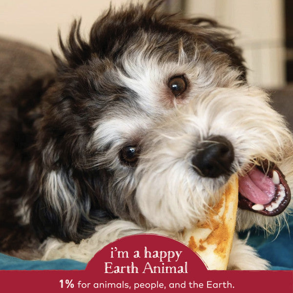Earth Animal No-Hide Cage-Free Beef Natural Rawhide Alternative Dog Chew, 4-in