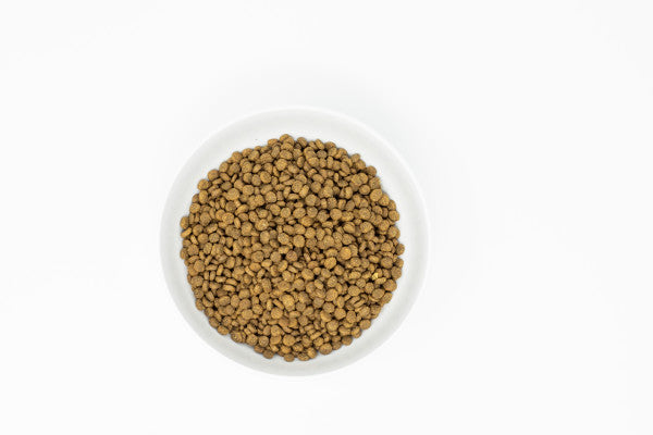 Stella & Chewy's Baked Kibble for Cats - Raw Coated Cage-Free Chicken Dry Cat Food