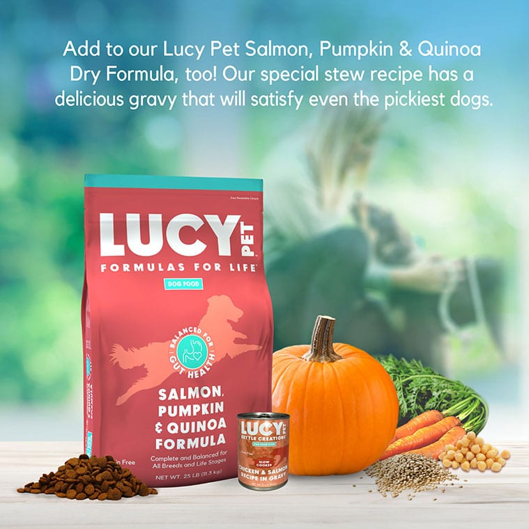 Lucy Pet Kettle Creations™ Chicken and Salmon Dog Recipe in Gravy, Wet Dog Food, 12.5-oz Case of 12