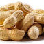 Leach Peanuts In Shell, 25-lb Bag