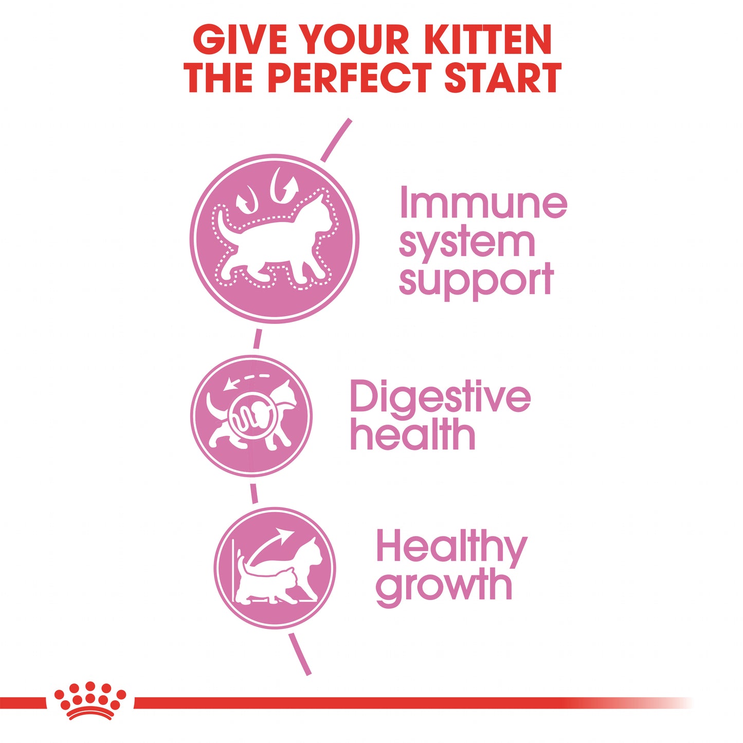 Royal Canin Kitten Dry Cat Food