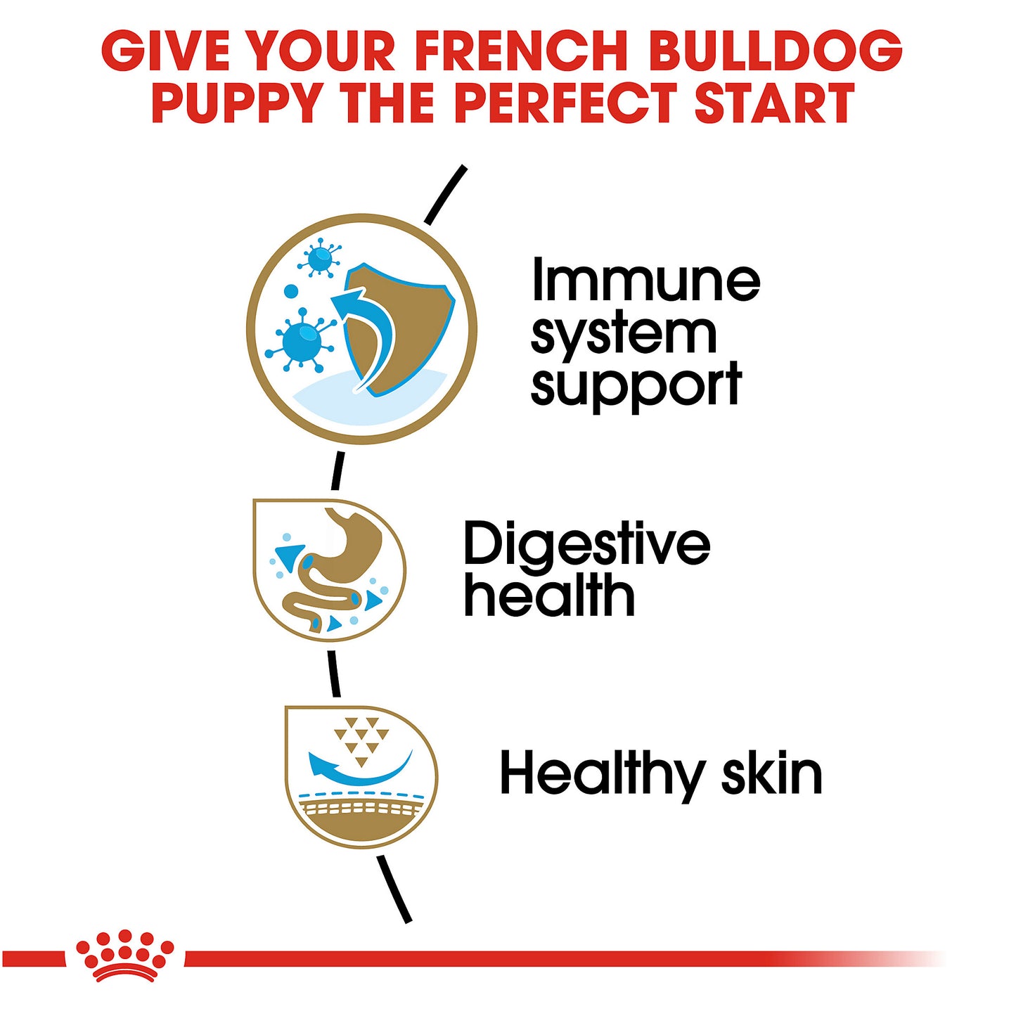 Royal Canin French Bulldog Puppy, Dry Dog Food