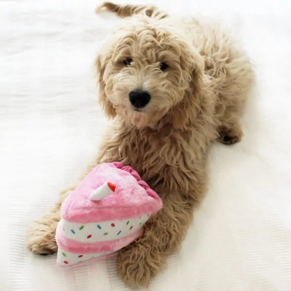 Zippy Paws Birthday Cake, Dog Toy