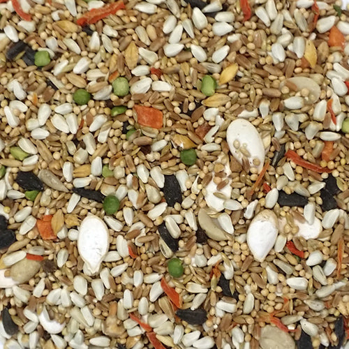 Kaylor Of Colorado Sweet Harvest Conure Or Lovebird Feed