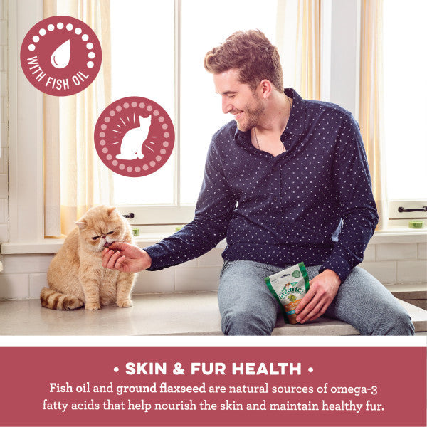 Feline Greenies Smartbites Skin & Fur Crunchy and Soft Natural Cat Treats Salmon Recipe, 2.1-oz Bag