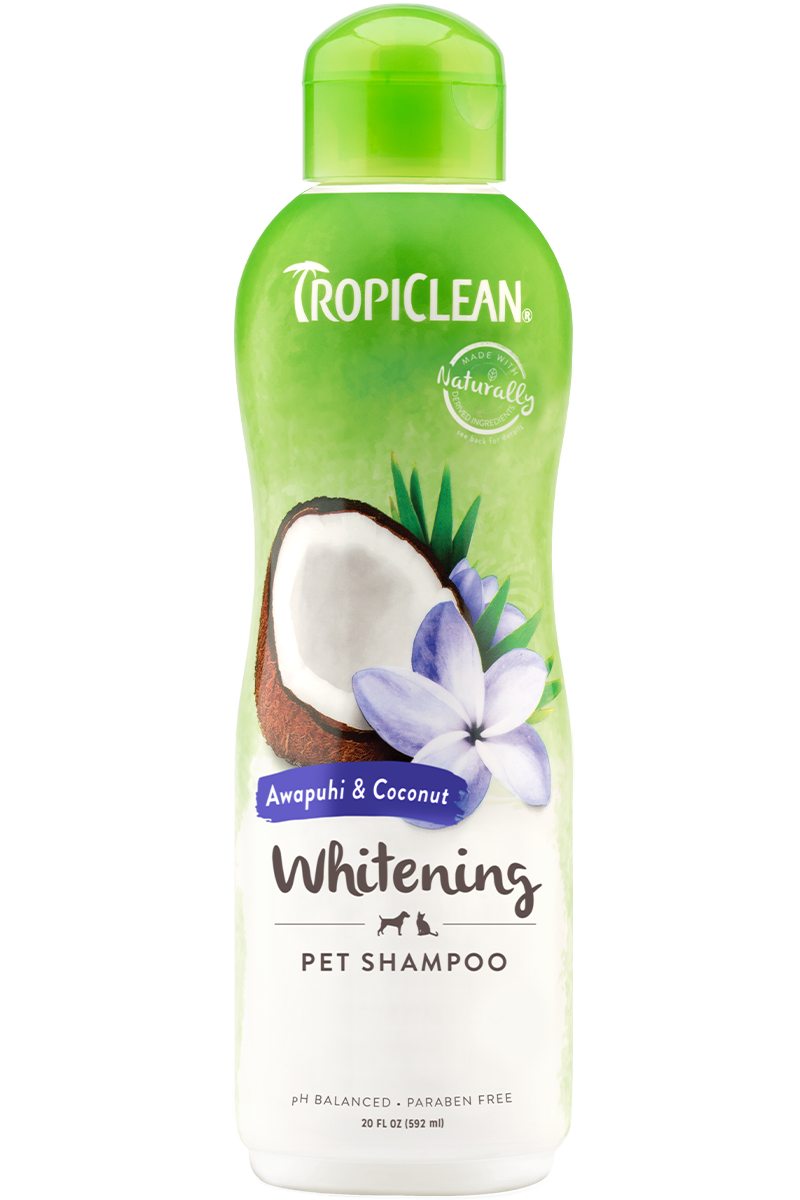 Tropiclean Awapuhi And Coconut Whitening Shampoo For Dogs And Cats, 20-oz