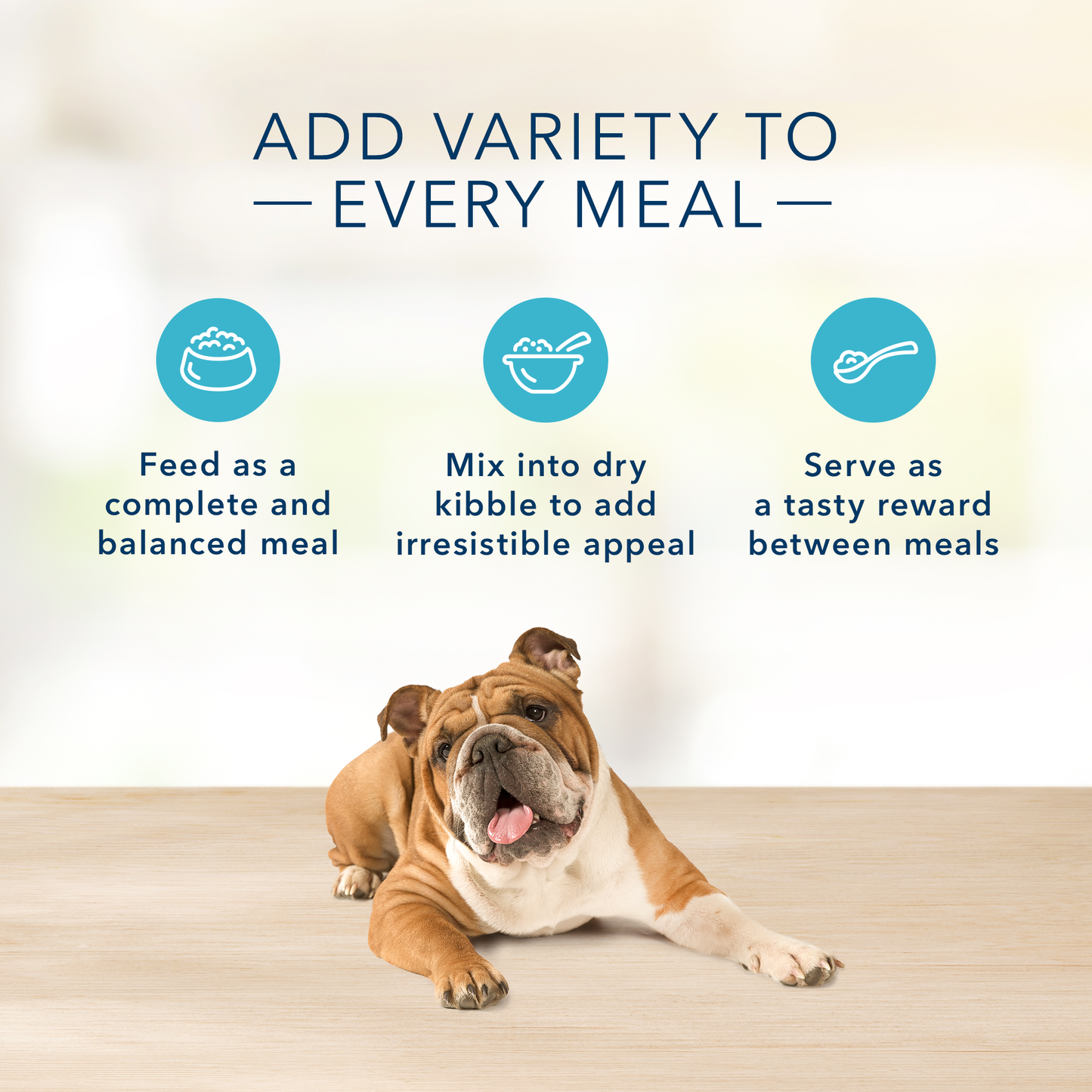 Blue Buffalo Basics Skin & Stomach Care, Grain Free Natural Adult Wet Dog Food, Turkey 12.5-oz, Case of 12