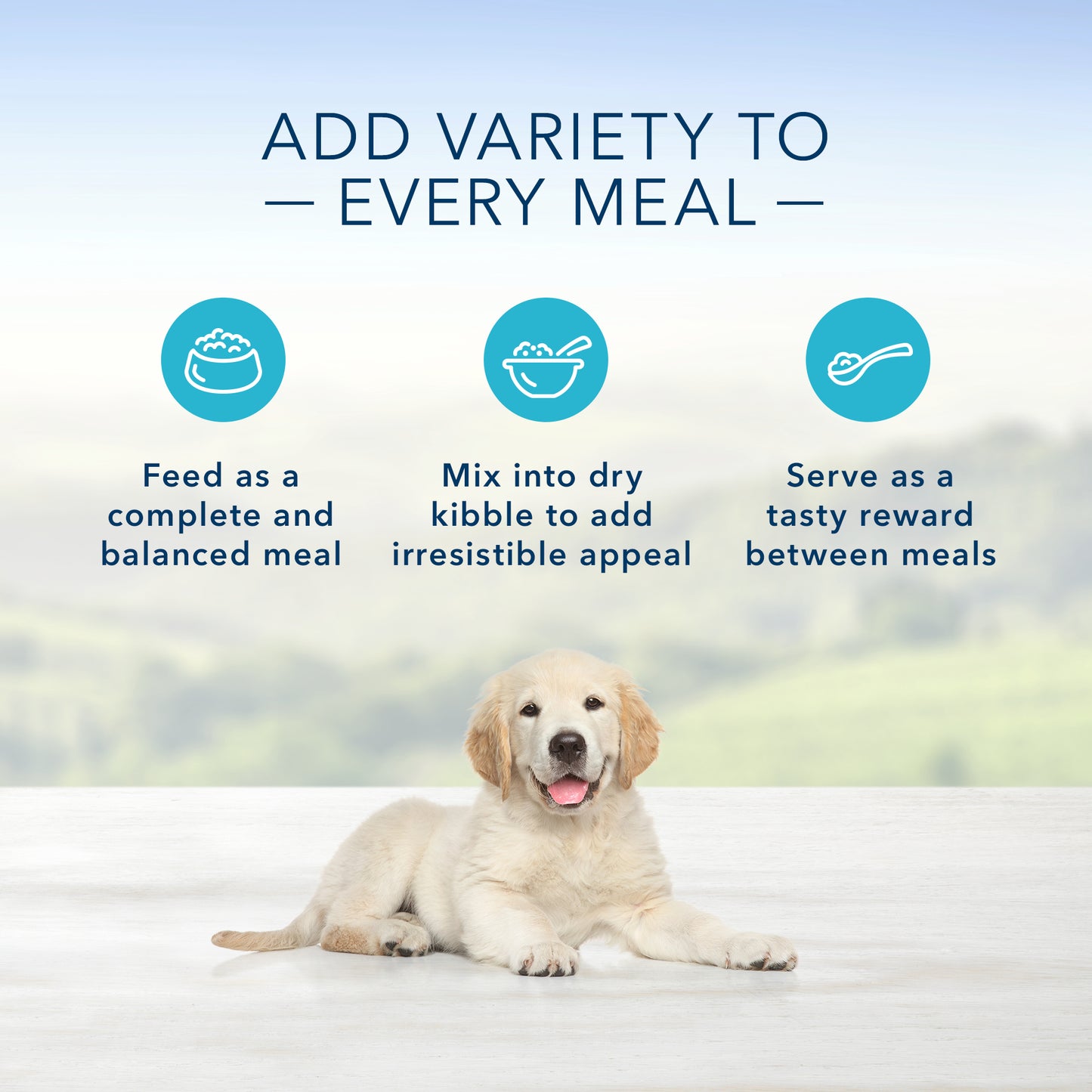 Blue Buffalo Homestyle Recipe Natural Puppy Wet Dog Food, Chicken 12.5-oz, Case of 12