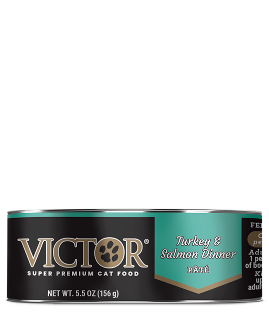 Victor wet dog food deals