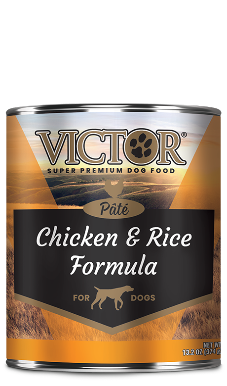VICTOR® Chicken and Rice Formula Pâté, Wet Dog Food, 13.2-oz Case of 12