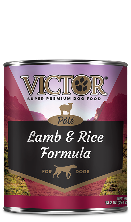 Victor dog top food in stores