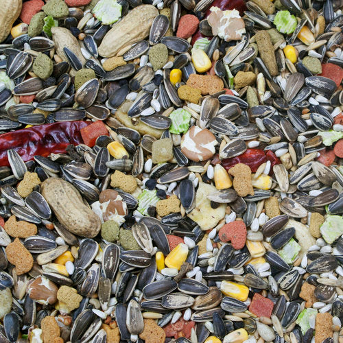 Higgins Vita Seed Natural Blend Parrot Diet, 5-lb Bag