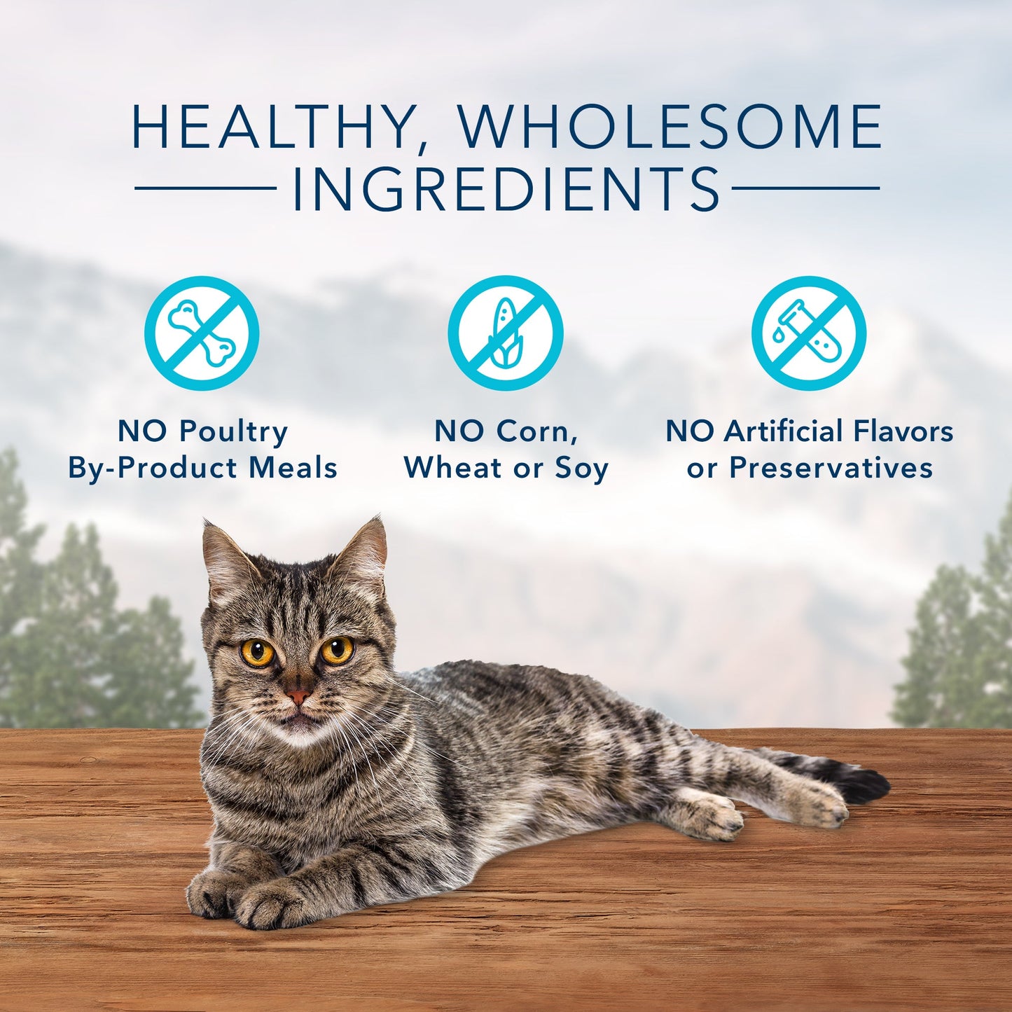 Blue Buffalo Wilderness Grain Free Soft-Moist Cat Treats, Chicken and Turkey Recipe 2-oz Bag