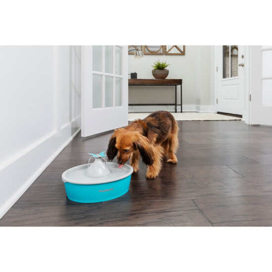 Petsafe Drinkwell Butterfly Pet Fountain, 50-oz