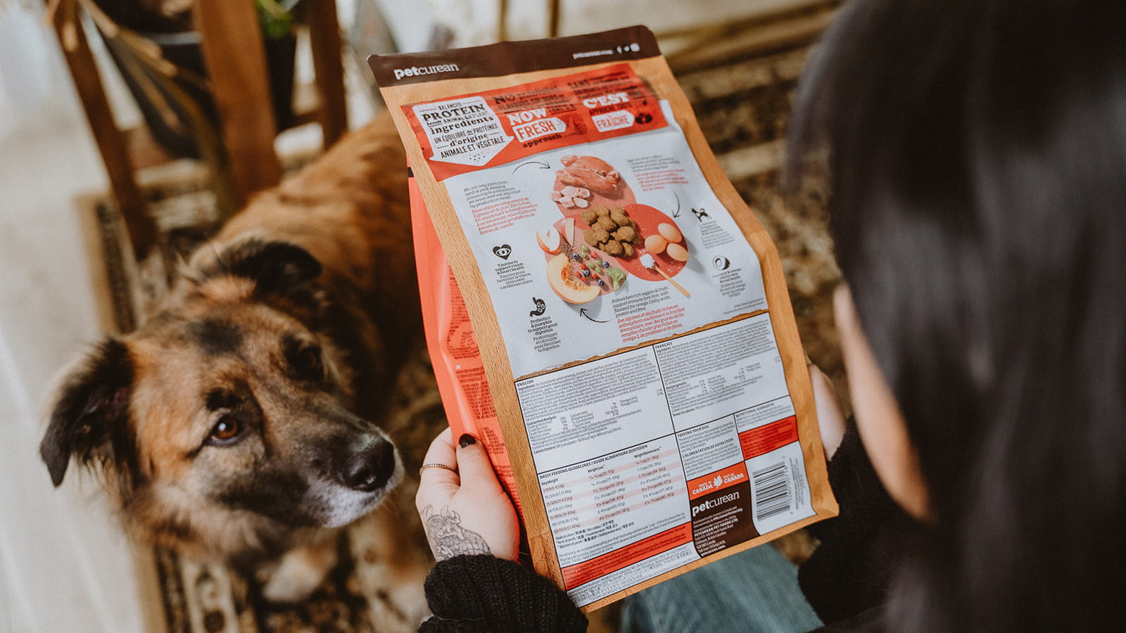 How to Read a Pet Food Label & What Actually Matters