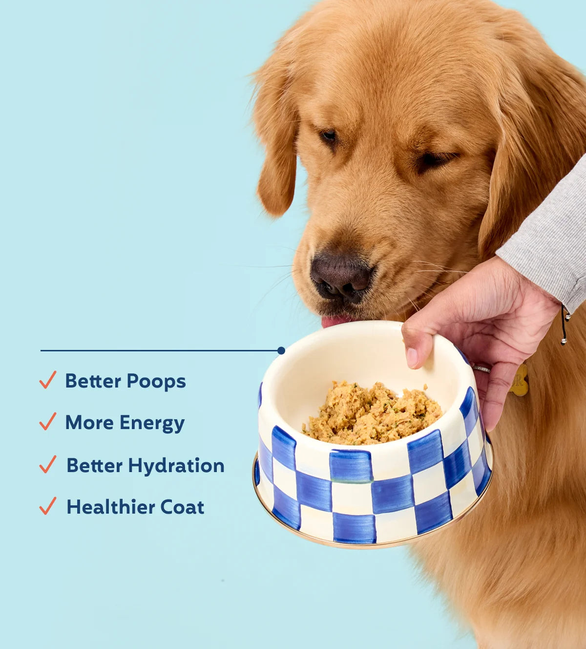 My Perfect Pet Reduced Fat Whitefish 4-lb, Gently Cooked Dog Food