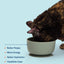 My Perfect Pet Turkey & Wild Salmon, Gently Cooked Cat Food, 3-lb Box