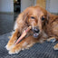 Tuesday's Natural Dog Company 6-Inch Large Beef Tendon, Single Dog Chew