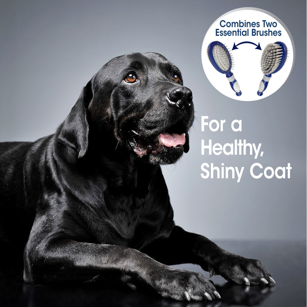 Four Paws Magic Coat Professional Series 2-in-1 Combo Pin and Bristle Dog Brush