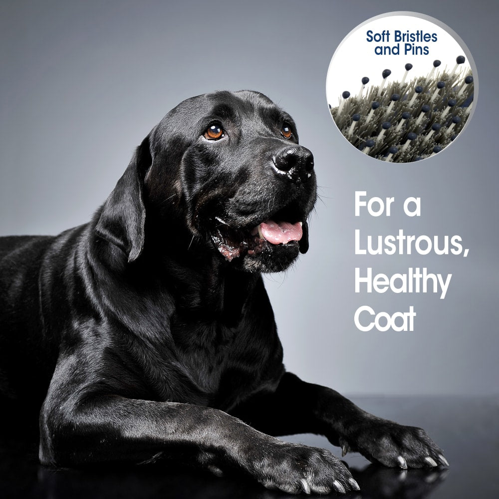 Four Paws Magic Coat Professional Series Flex & Contour Pin and Bristle Brush for Dogs