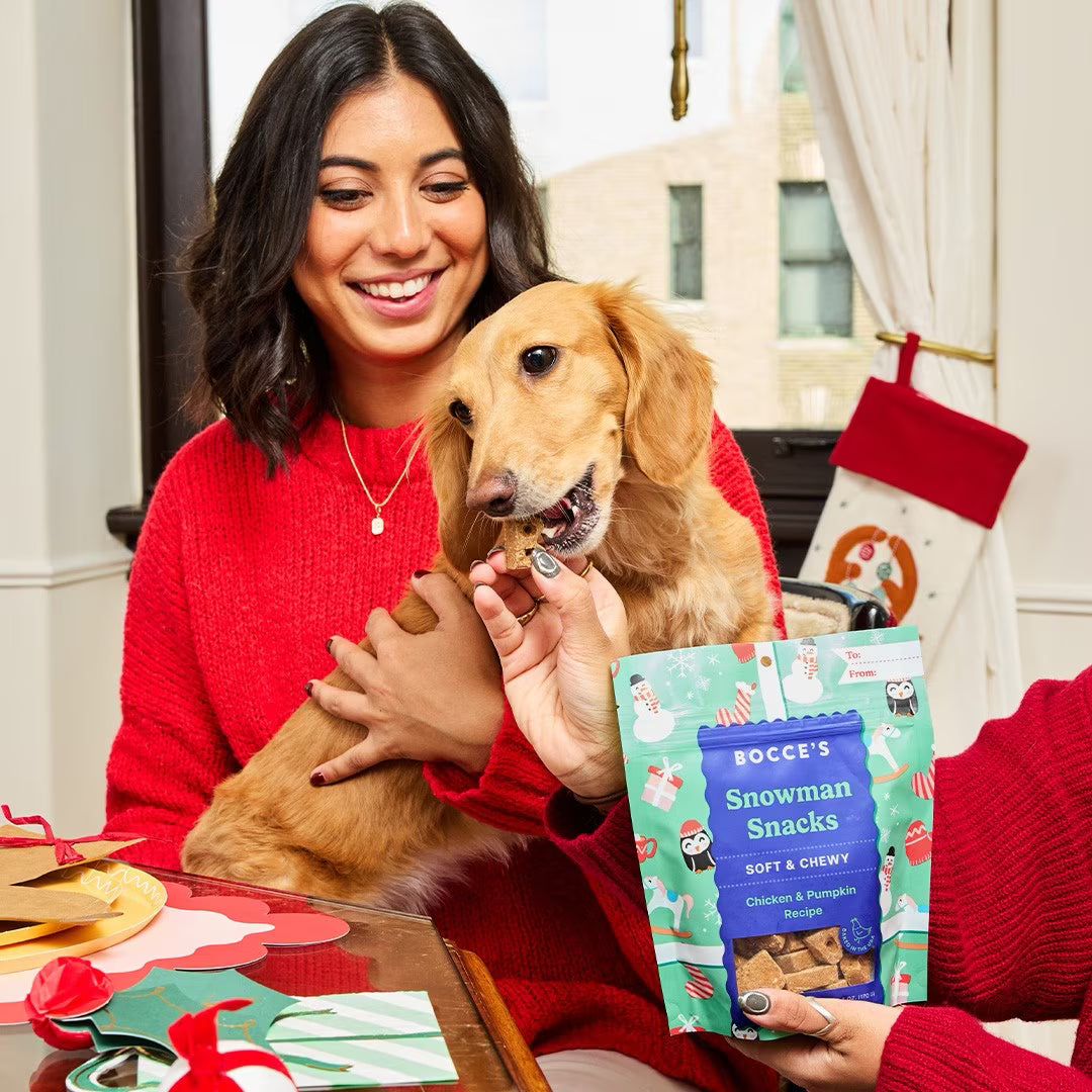 Bocce's Bakery Snowman Snacks Dog Treats, 6-oz Bag