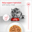 Royal Canin® Feline Health Nutrition™ Aging 11+ Thin Slices In Gravy Canned Cat Food, 3-oz Case of 24