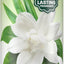 Tropiclean Baby Powder Deodorizing Spray For Pets, 10-oz Bottle