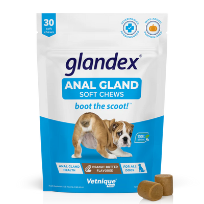 Glandex® Dog Anal Gland Supplement With Pumpkin