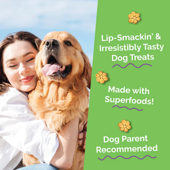 Fruitables Baked Pumpkin & Cranberry 7-oz, Dog Treat