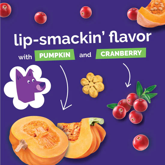 Fruitables Baked Pumpkin & Cranberry 7-oz, Dog Treat