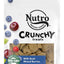 Nutro Crunchy Treats With Real Mixed Berries, Dog Treat