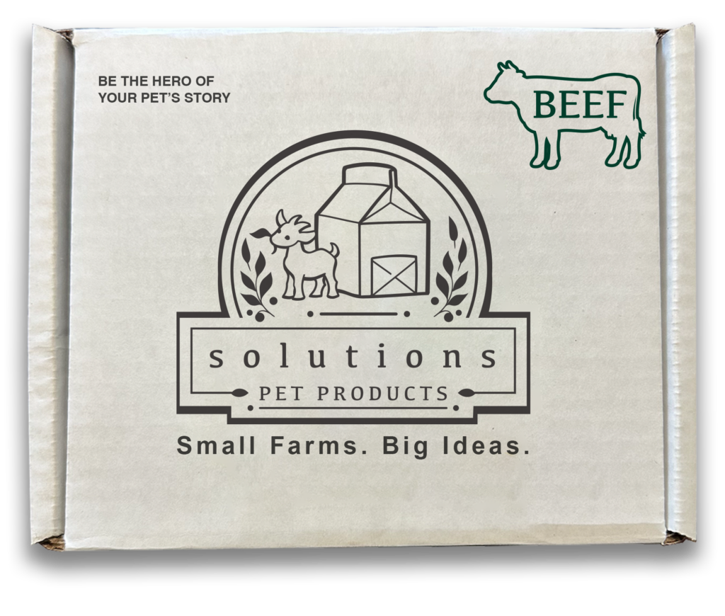 Solutions Pet Products Beef Recipe, Frozen Dog Food