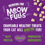 Stella & Chewy's Meowfuls Turkey & Duck Cat Treats, 1.5-oz Bag
