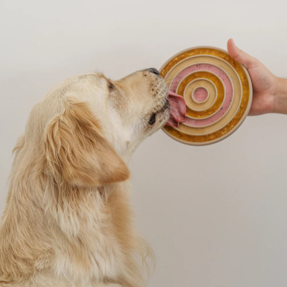 Lambwolf Collective 3 in 1 Bento Bowl For Dogs
