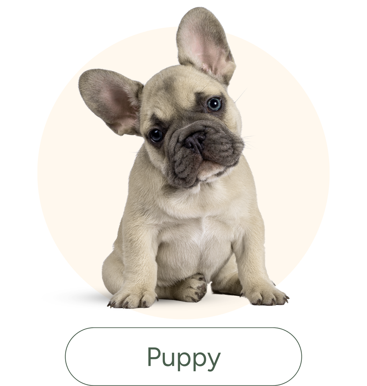 Anaheim Feed & Pet Supply