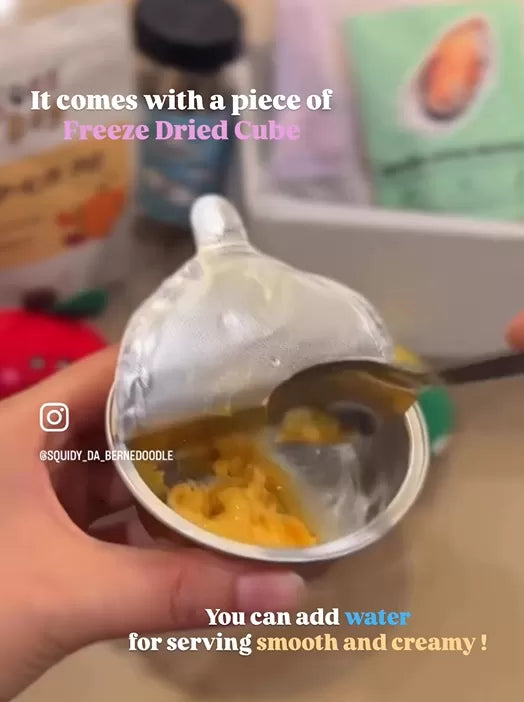 High Four TT Yellow Puree for Dogs, Treat for Dogs, 0.12-oz Cup