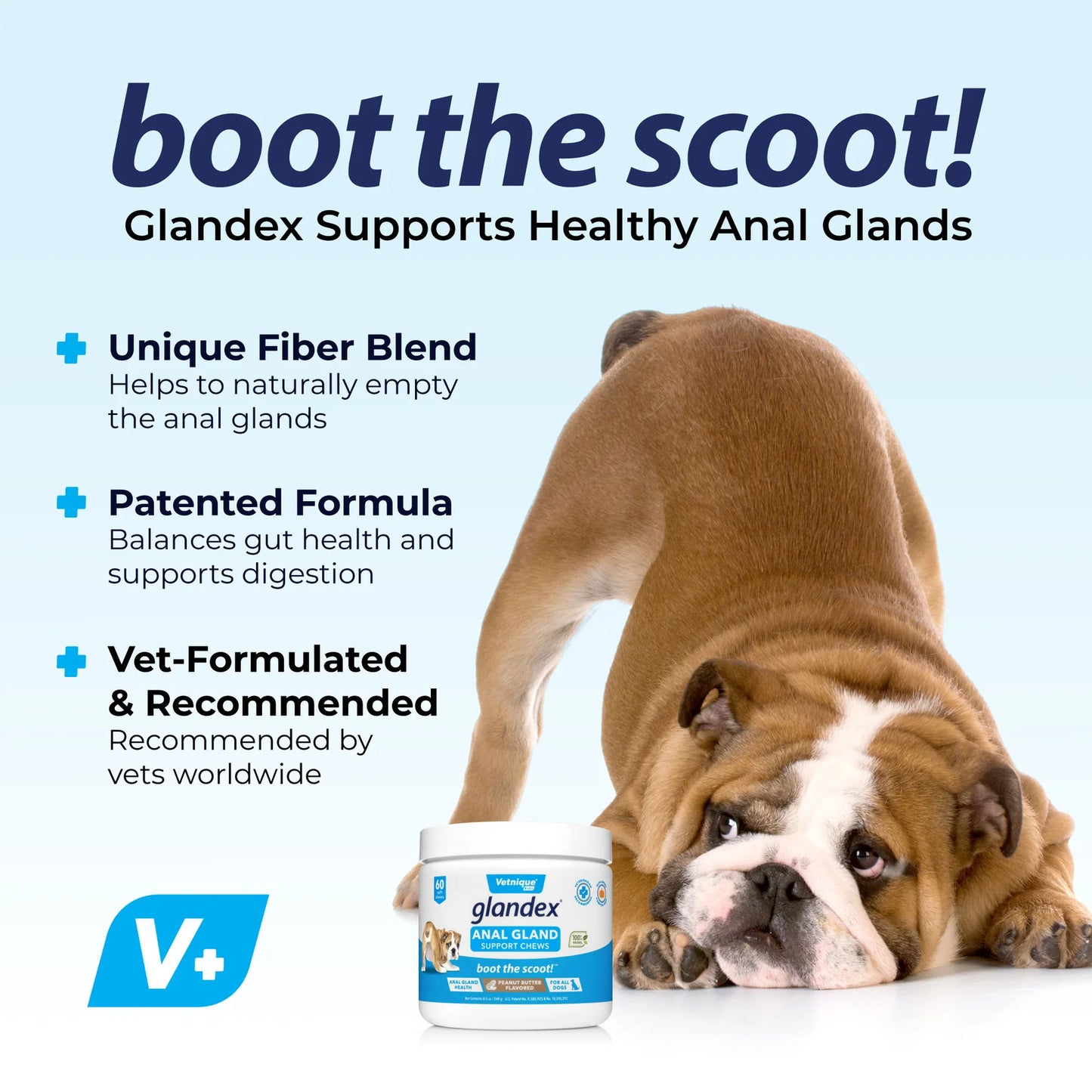 Glandex® Dog Anal Gland Supplement With Pumpkin