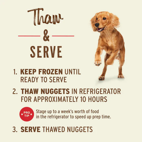 Primal Frozen Raw Nuggets Dog Food, Duck Recipe