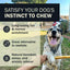 Redbarn Collagen Wrapped Esophagus Stick, Dog Chew