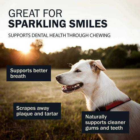 Redbarn Collagen Wrapped Esophagus Stick, Dog Chew