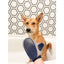 Four Paws Magic Coat Professional Series Love Glove Dog Grooming Mitt