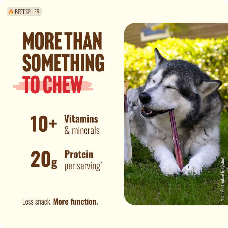 Natural Farm 12in Odor Free Bully Stick, Dog Chews, 10-Count