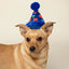 PetShop Party Hat, Dog Toy