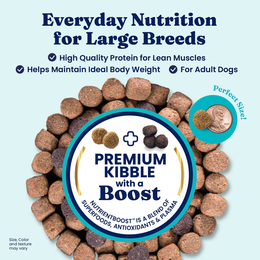 Solid Gold Nutrientboost™ Wolf King™ Dry Food for Large Breed Dogs, 22-lb Bag