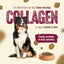 Natural Farm Fresh from the Farm - Red Meat Recipe, Dry Dog Food