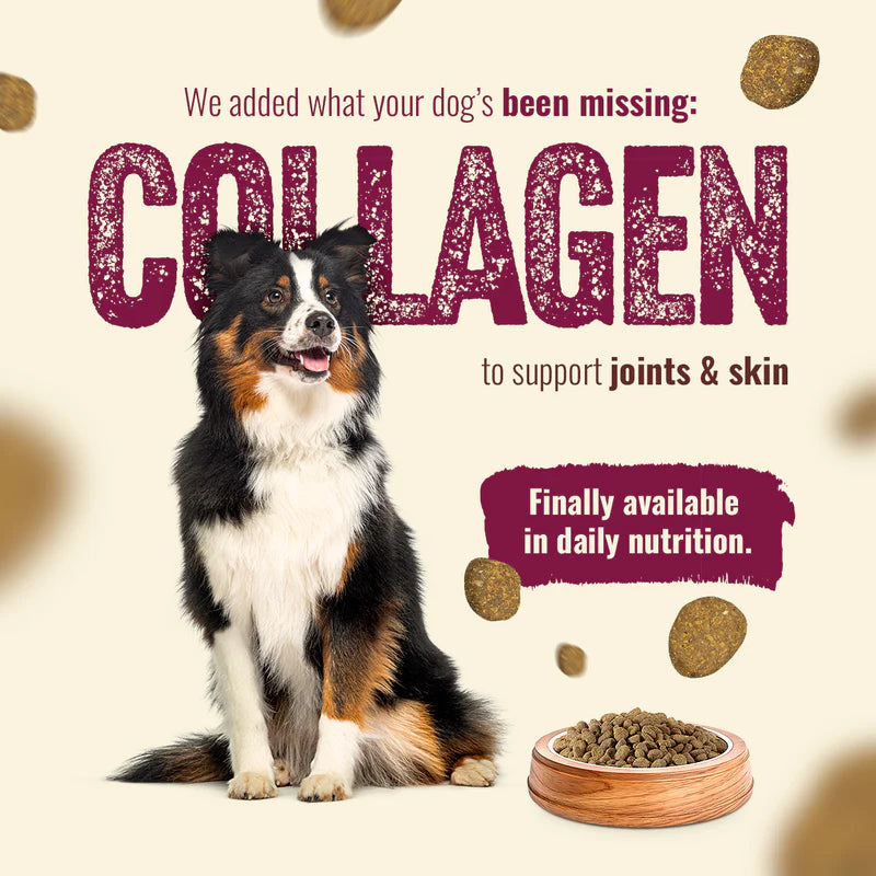 Natural Farm Fresh from the Farm - Red Meat Recipe, Dry Dog Food