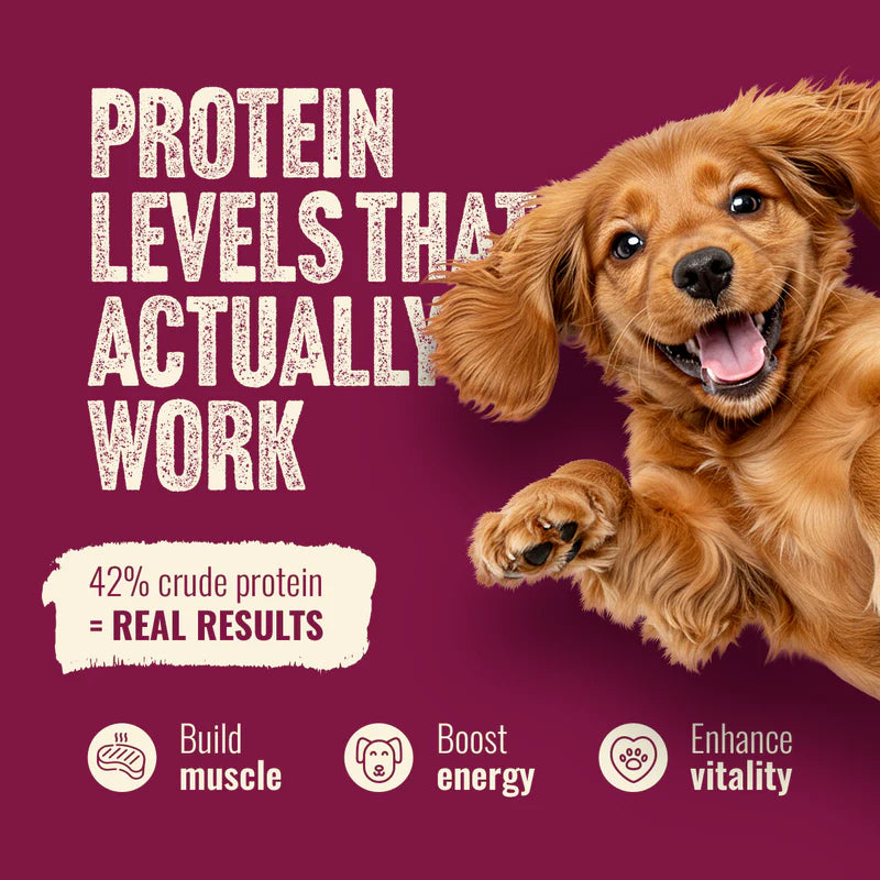 Natural Farm Fresh from the Farm - Red Meat Recipe, Dry Dog Food