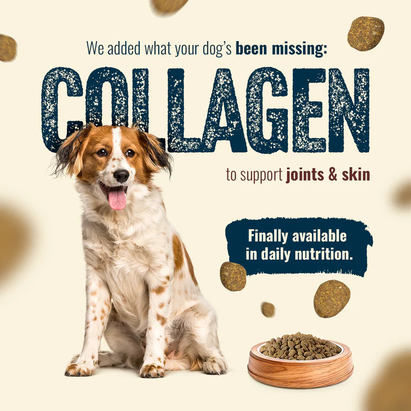 Natural Farm Fresh from the Farm - Fish Recipe, Dry Dog Food