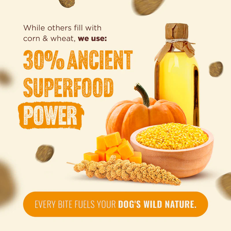 Natural Farm Fresh from the Farm - Chicken Recipe, Dry Dog Food